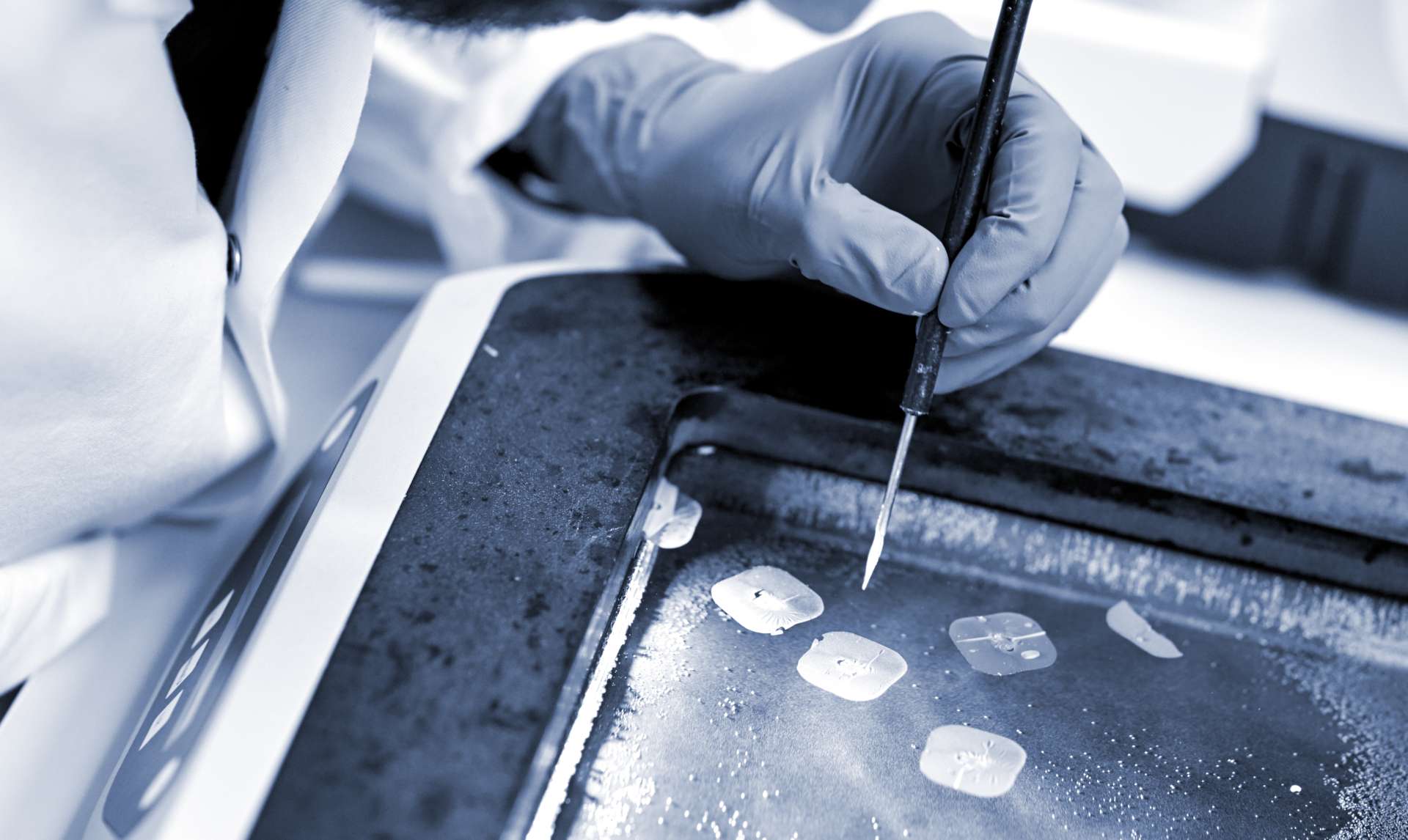 person doing science