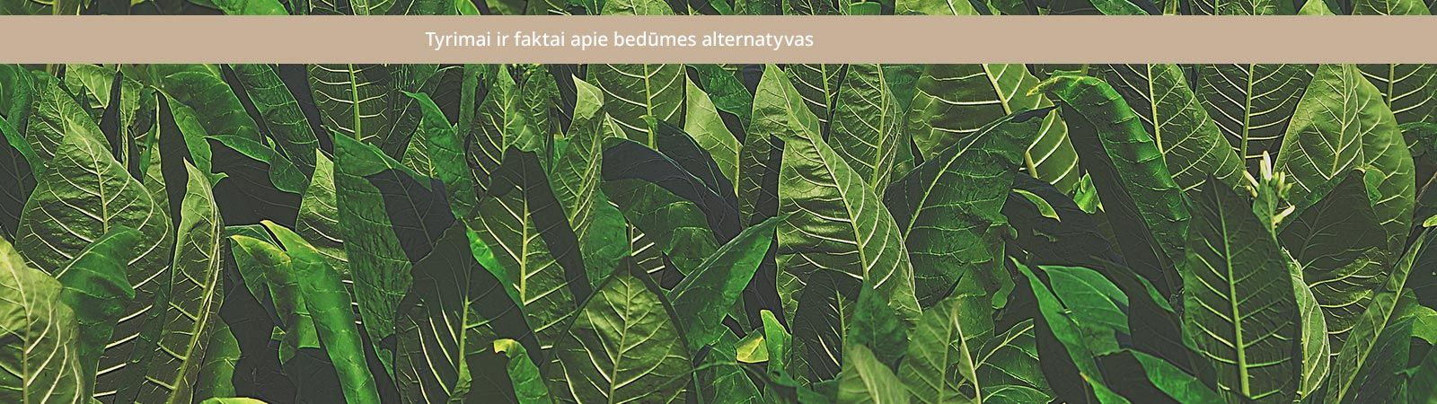 IQOS - faktai apie nikotiną IQOS - faktai apie nikotiną