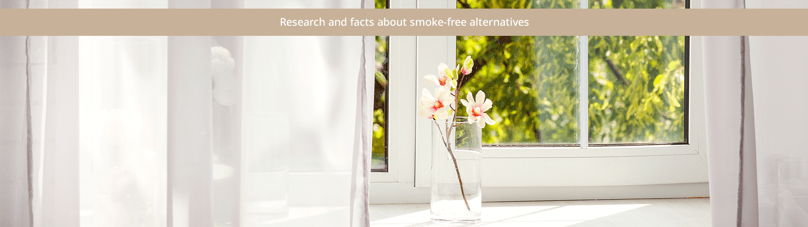 IQOS, air quality, indoor, what impacts IQOS, air quality, indoor, what impacts