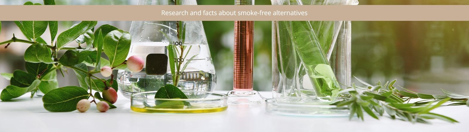 Toxicity levels of various tobacco products Toxicity levels of various tobacco products