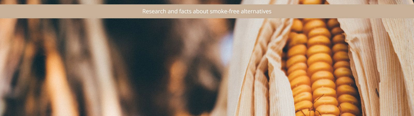 IQOS heated tobacco product, content, filter, cigarette, differences IQOS heated tobacco product, content, filter, cigarette, differences