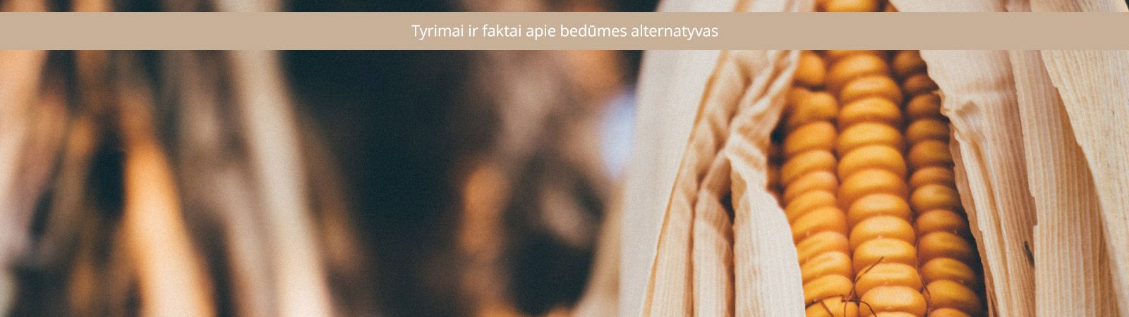 IQOS kaitinamas tabakas, gaminio sudėtis, filtras, cigaretė, skirtumai IQOS kaitinamas tabakas, gaminio sudėtis, filtras, cigaretė, skirtumai